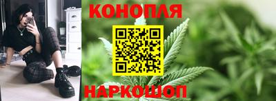шишки Бийск