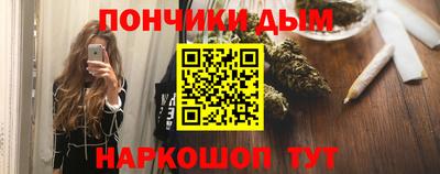 шишки Бийск