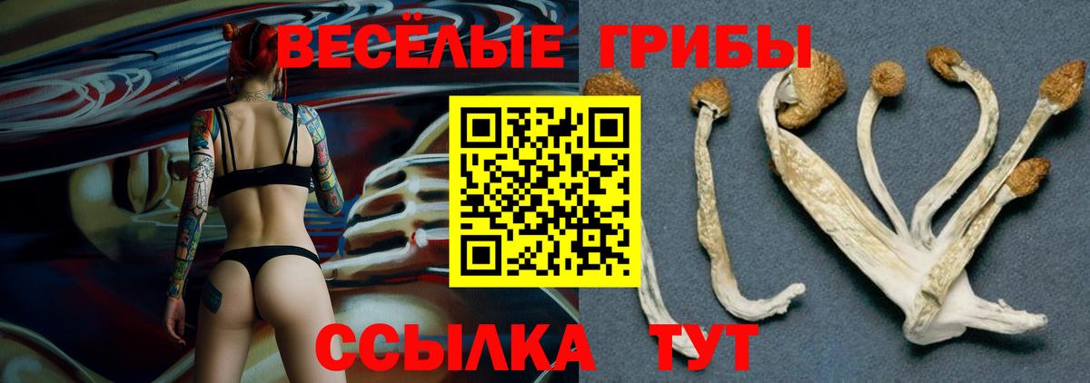 Галлюциногенные грибы мухоморы  закладка  Жуковский  Вход с VPN 